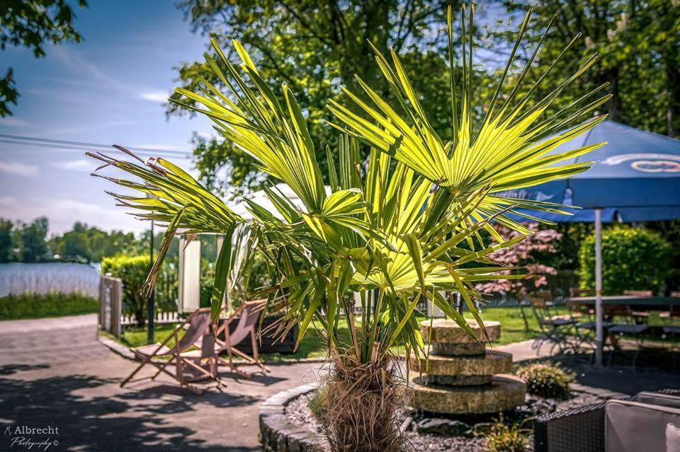 Sopherl Am See - Fruehstueck Auf Der Seeterrasse, Sehr Ruhig Und Wunderschoen Am See, 3 Minuten Nach Oberpfaffenhofen, Viele Radtouren, Restaurants & Cafes In Der Umgebung Wessling Ngoại thất bức ảnh